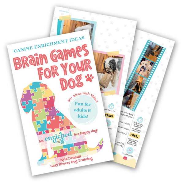Brain Games For Your Dog: Canine Enrichment Ideas [Book]